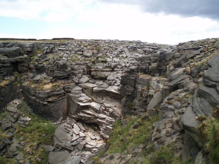 Kinder Downfall Kinder Downfall